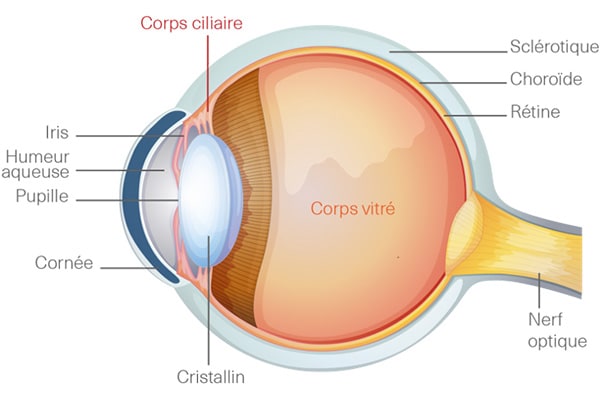 operation presbytie symptomes risques chirurgiens ophtalmologues chirurgie refractive de l oeil cataracte institut laser ophtalmologique voltaire paris