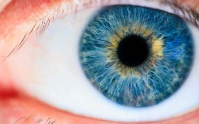 Lasik et halo lumineux